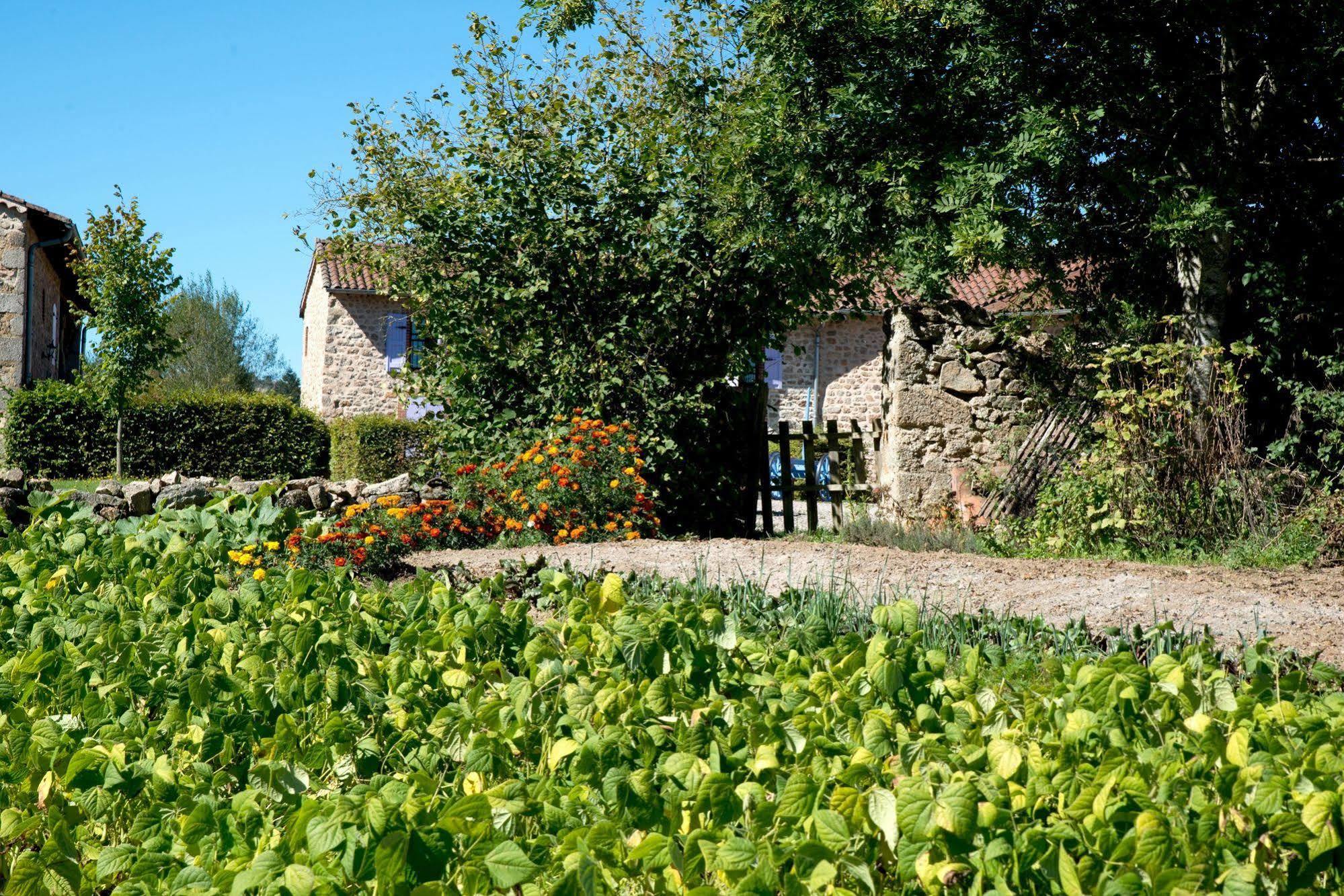Domaine De La Plagnette Hotel Les Salles Eksteriør billede